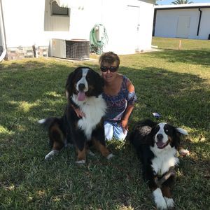 Meet your Posher, Pamela